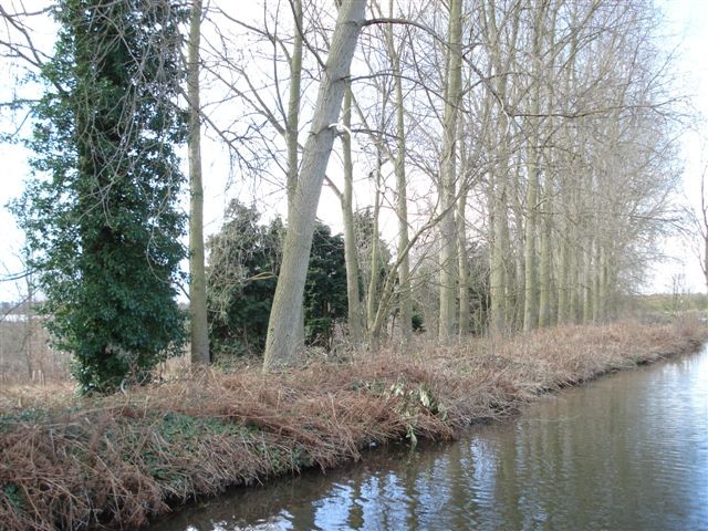 Canal in Autumn